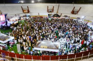 XIII Fiesta del Vino en Tomelloso