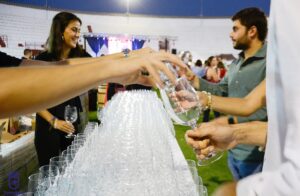 XIII Fiesta del Vino en Tomelloso