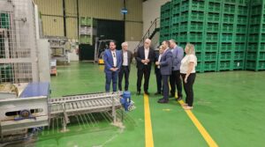 Empresas de Manzanares