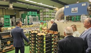 Empresas de Manzanares