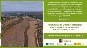 Proyecto Valdepeñas